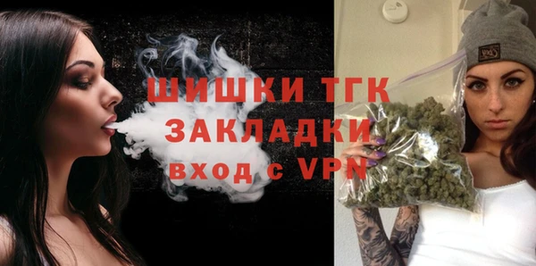 индика Алексеевка