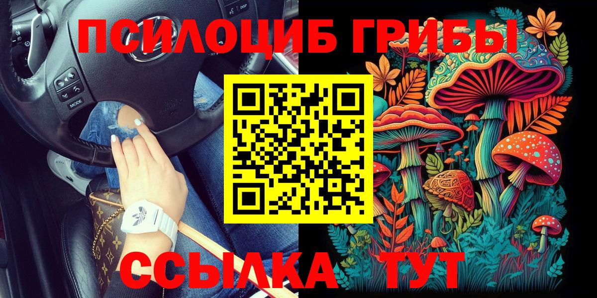 Псилоцибиновые грибы Psilocybe  Вход с VPN  где можно купить   Псилоцибиновые грибы Psilocybine cubensis  Советская Гавань 